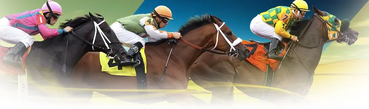 Bí Kíp Tìm Hiểu Cá Cược Đua Ngựa VNBet77 Thắng Lớn Mỗi Ngày